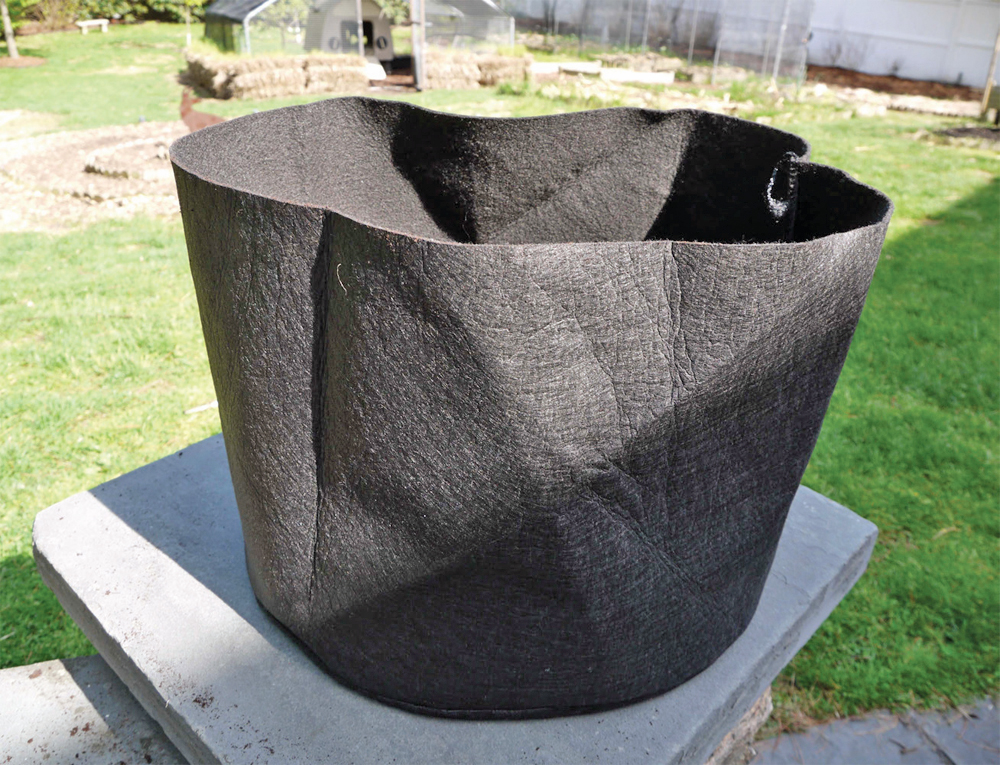 A Beginner’s Guide to Container Potatoes